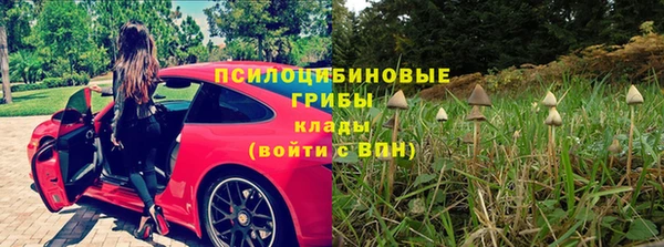 экстази Медвежьегорск