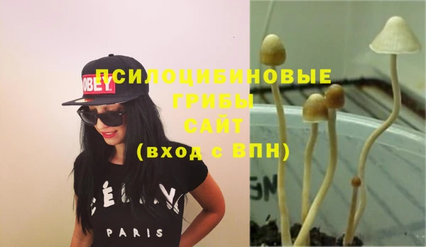 ешки Михайлов