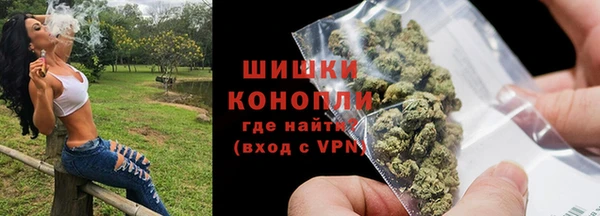 ГАЛЛЮЦИНОГЕННЫЕ ГРИБЫ Себеж