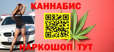 индика Бийск