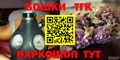 индика Бийск