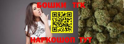 индика Бийск