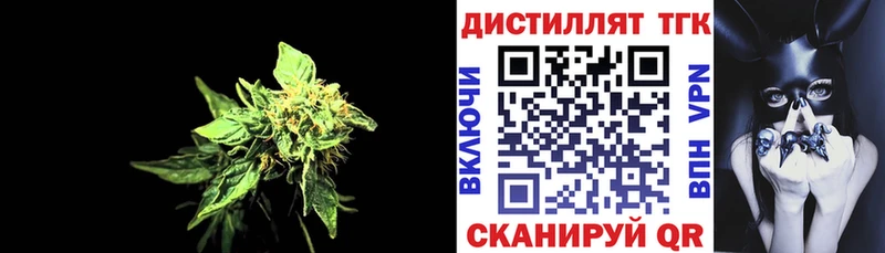 ТГК Wax  Шуя 
