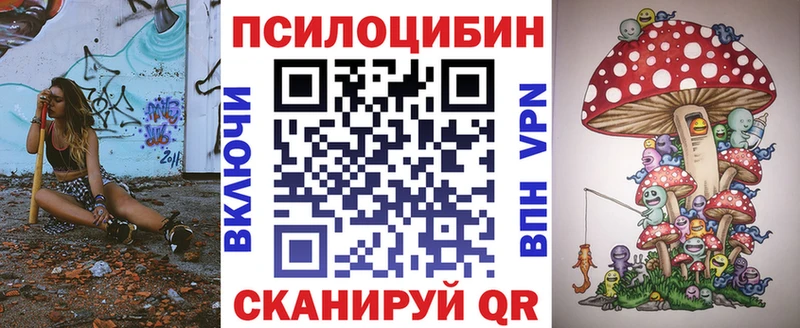 ОМГ ОМГ вход  Шуя  Псилоцибиновые грибы Magic Shrooms 