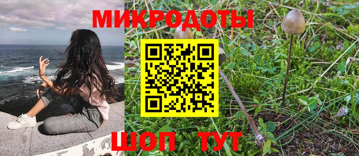 Шуя  Галлюциногенные грибы мухоморы  Вход с VPN  Псилоцибиновые грибы MAGIC MUSHROOMS 