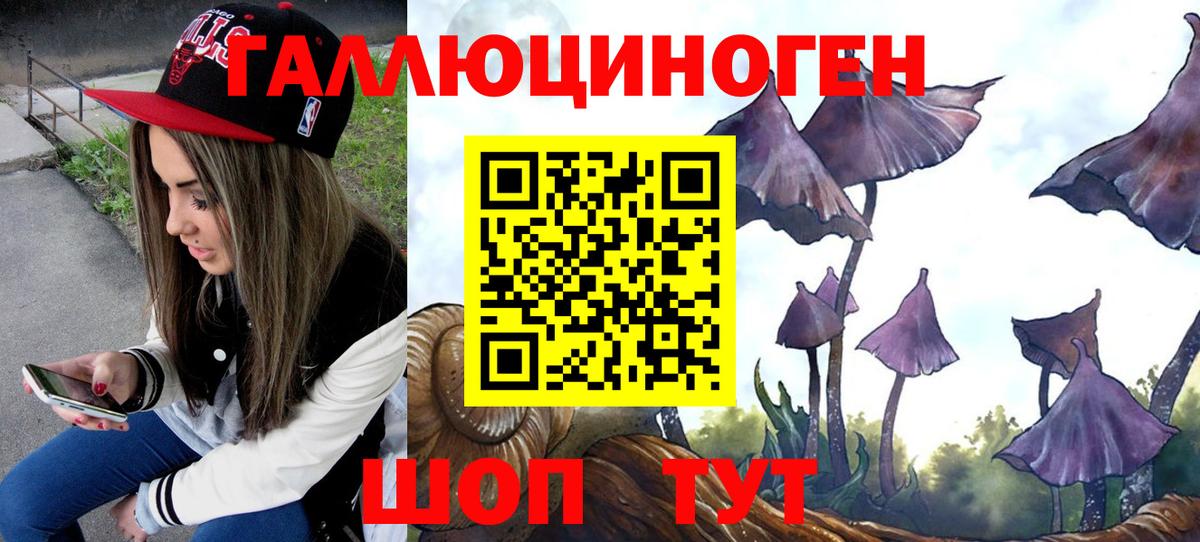 Галлюциногенные грибы GOLDEN TEACHER Шуя